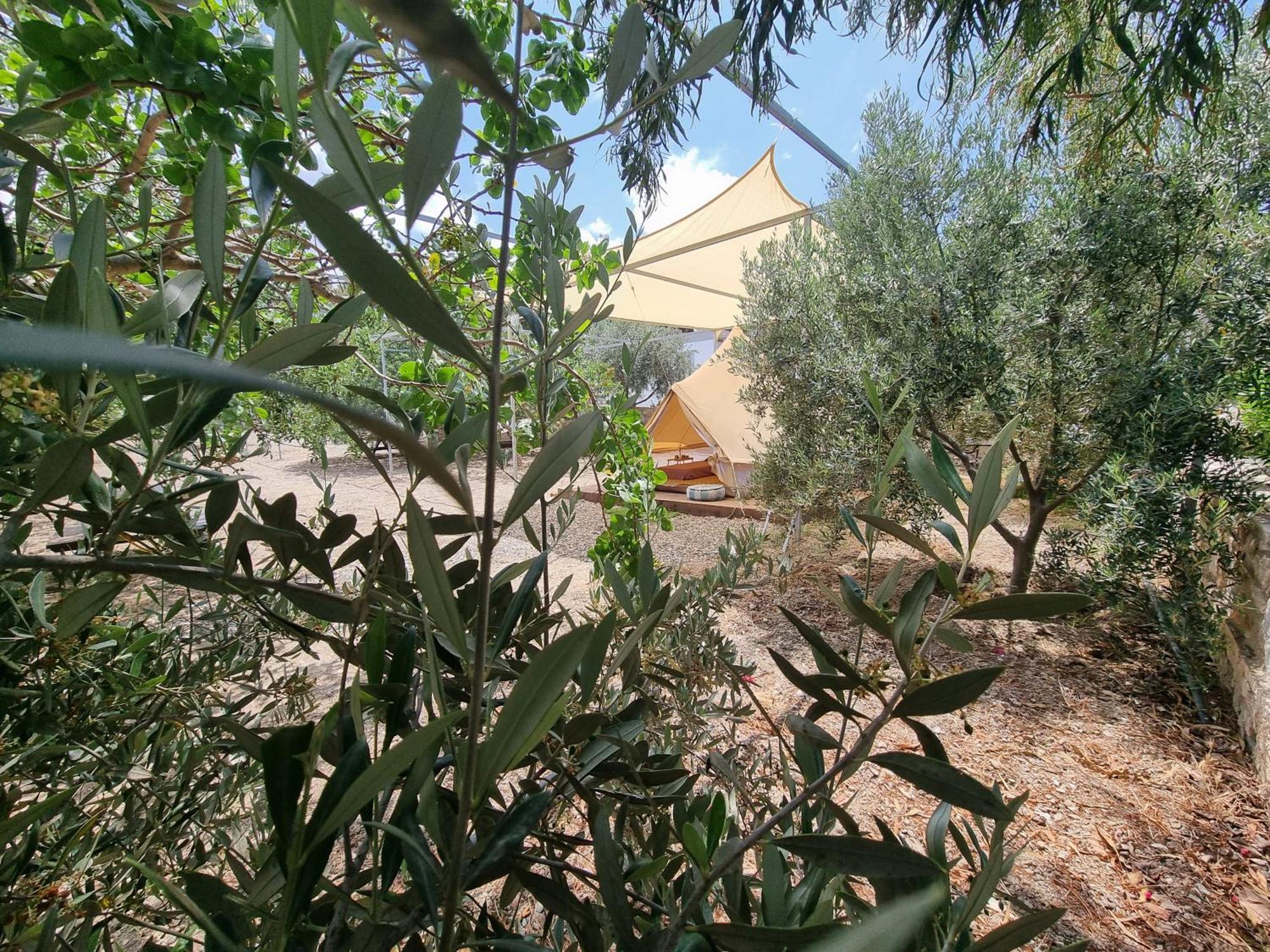 Anassa Cycladic Village Galissas Quarto foto